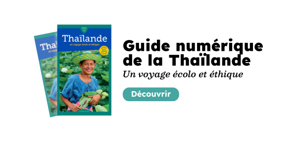 Guide de la Thailande TAO